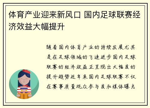 体育产业迎来新风口 国内足球联赛经济效益大幅提升